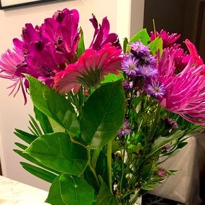 Meet your Posher, Shay